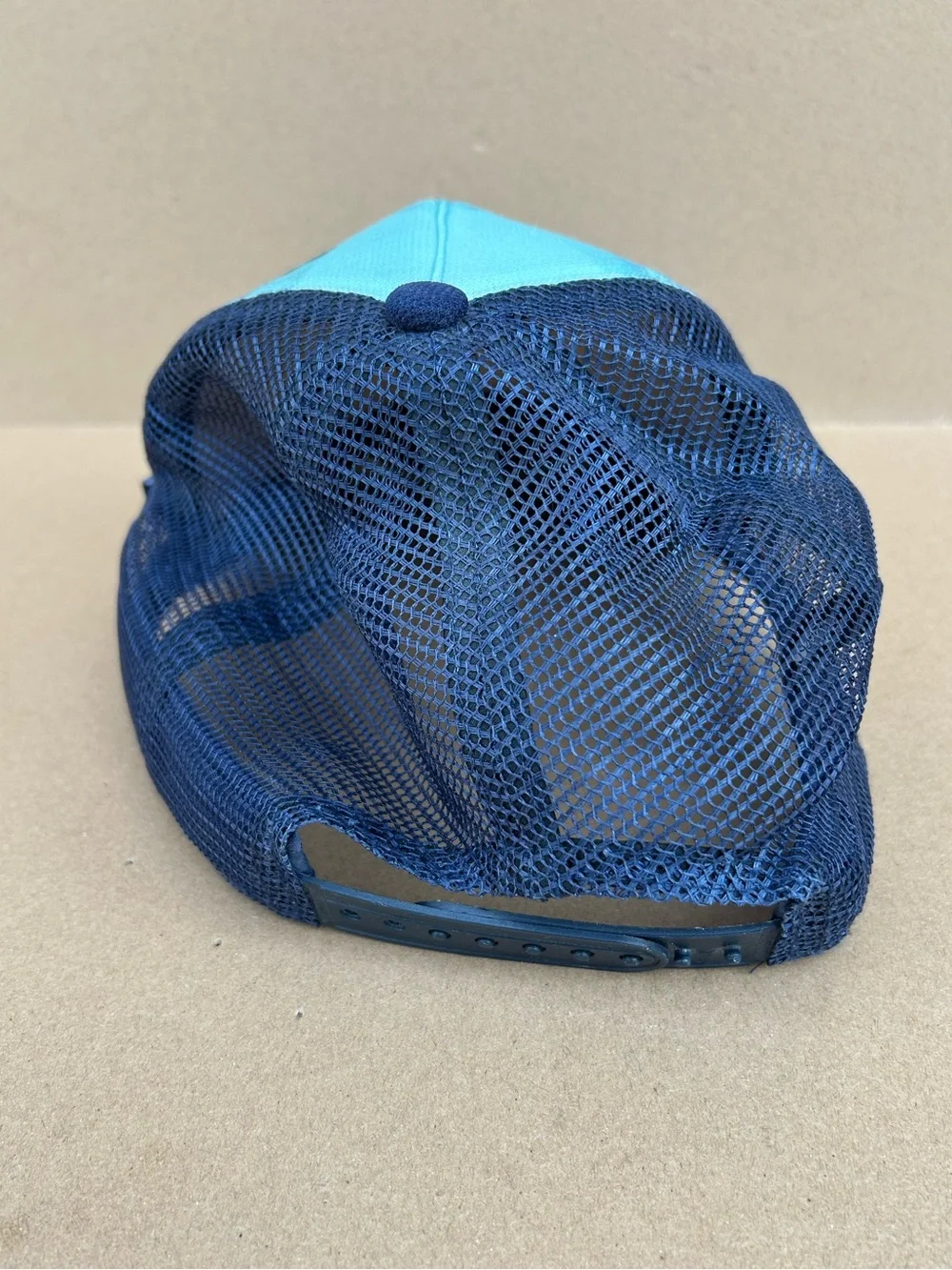 The North Face Born to Roam Trucker Hat Mesh SnapBack Blue Graphic Outdoors